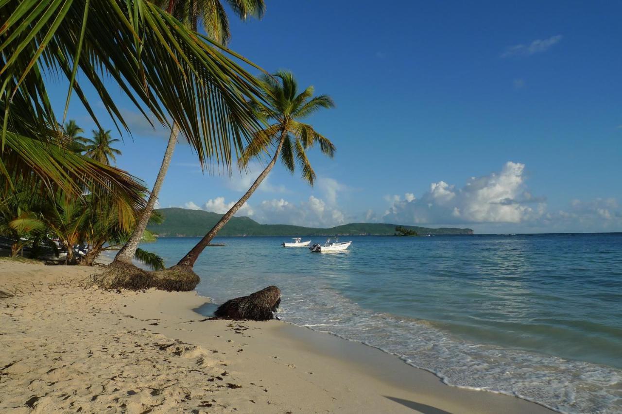 Apart-Hotel Garden Villa Las Galeras Exterior photo