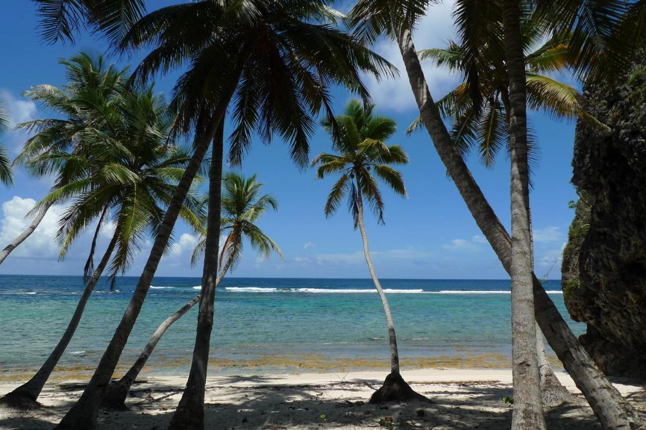 Apart-Hotel Garden Villa Las Galeras Exterior photo