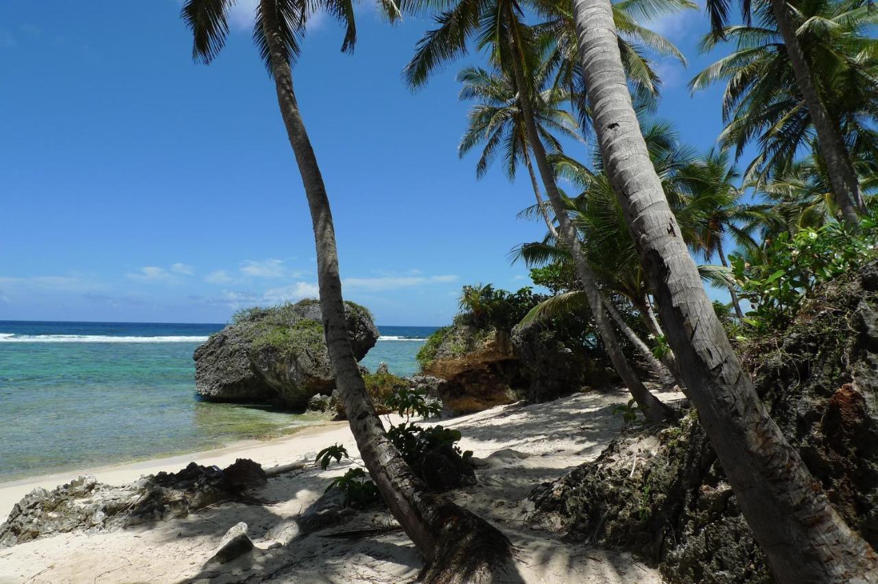 Apart-Hotel Garden Villa Las Galeras Exterior photo